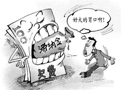 社保滯納金怎么計(jì)算？ 第1張