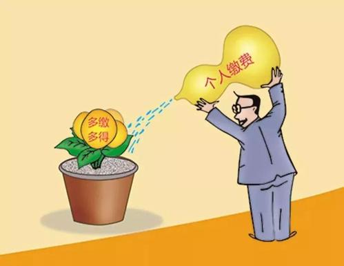 社保是不是一定要所有險(xiǎn)種一起繳？ 第1張