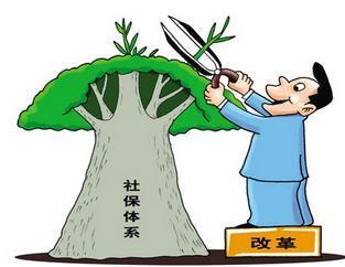 個人繳納社保和公司繳納的社保有何不同？ 第1張