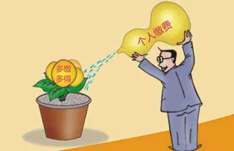 個(gè)人繳社保需要多少？應(yīng)該如何繳納？ 第1張